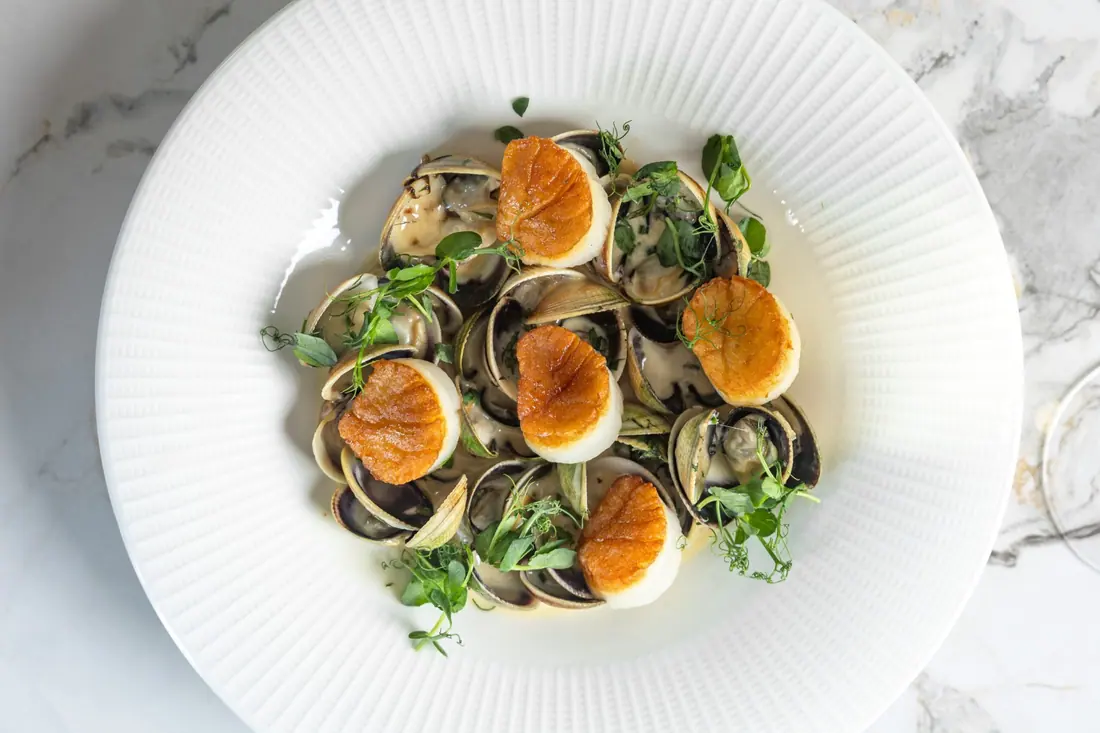 Clams, plated wide