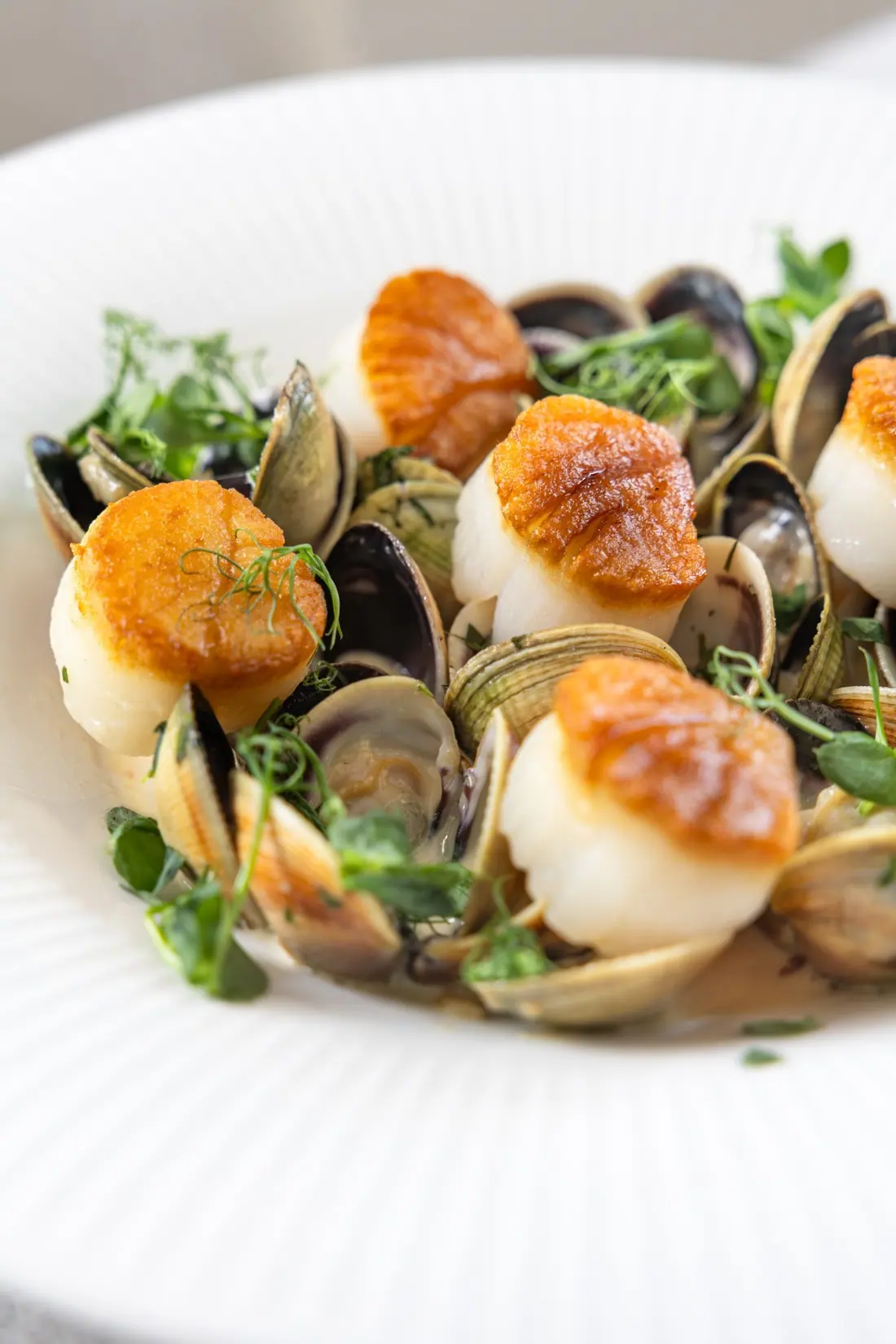 Scallops with clams